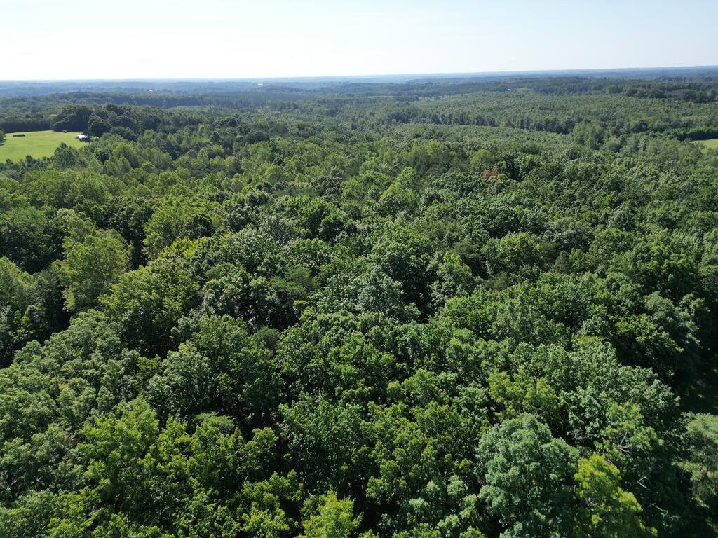 240 Tabor Road Property Photo 6