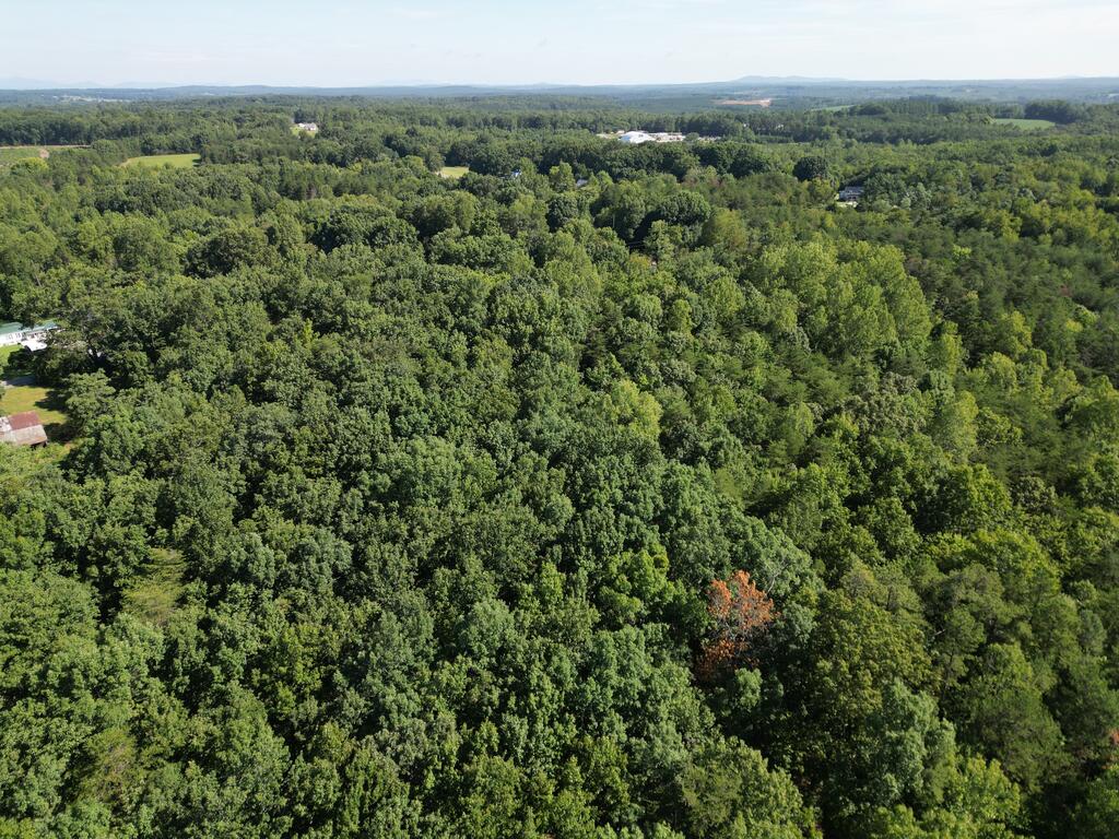 240 Tabor Road Property Photo 8