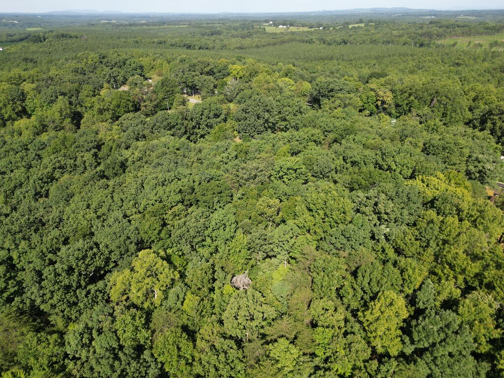 240 Tabor Road Property Photo 9