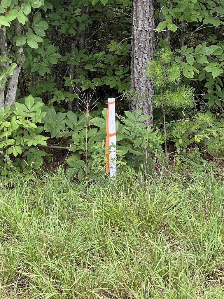 91.81 Ac Brickhouse Road Property Photo 2