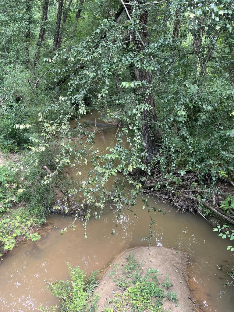91.81 Ac Brickhouse Road Property Photo 5