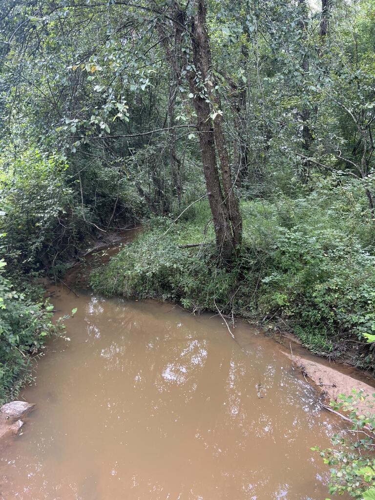 91.81 Ac Brickhouse Road Property Photo 6