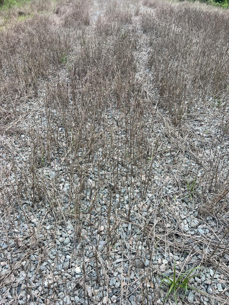 91.81 Ac Brickhouse Road Property Photo 8