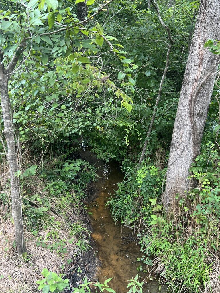 91.81 Ac Brickhouse Road Property Photo 10