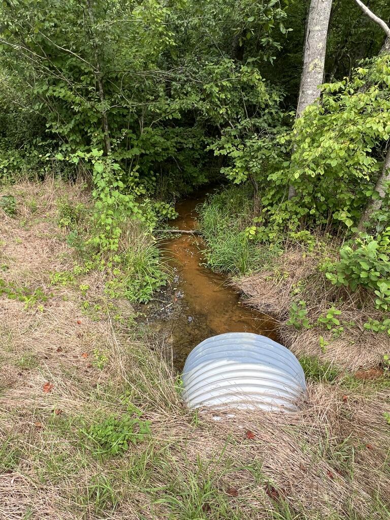 91.81 Ac Brickhouse Road Property Photo 11