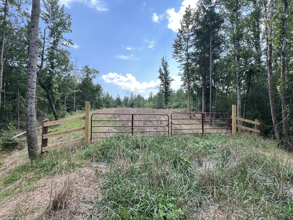 91.81 Ac Brickhouse Road Property Photo 12