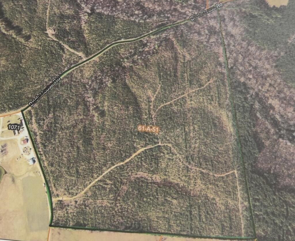 91.81 Ac Brickhouse Road Property Photo 13