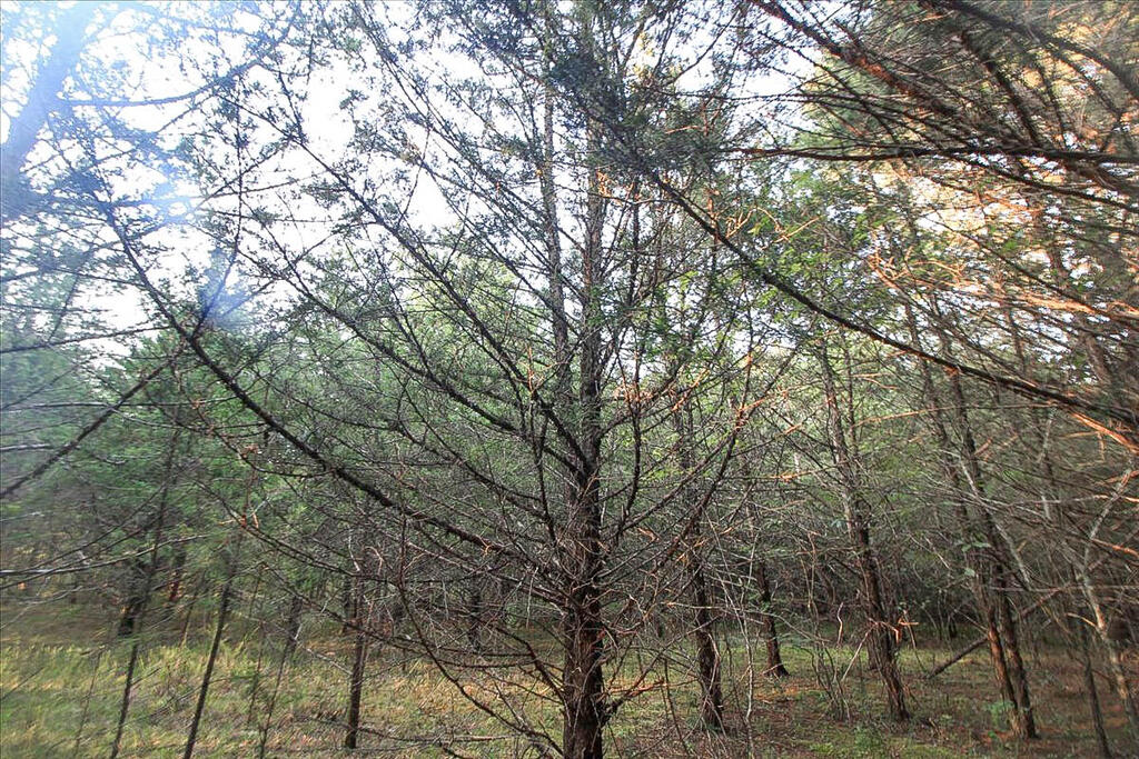 1116 Wheatland Road Property Photo 26