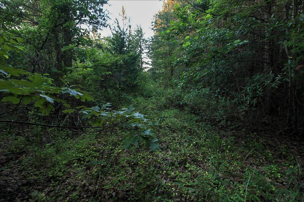 1116 Wheatland Road Property Photo 27