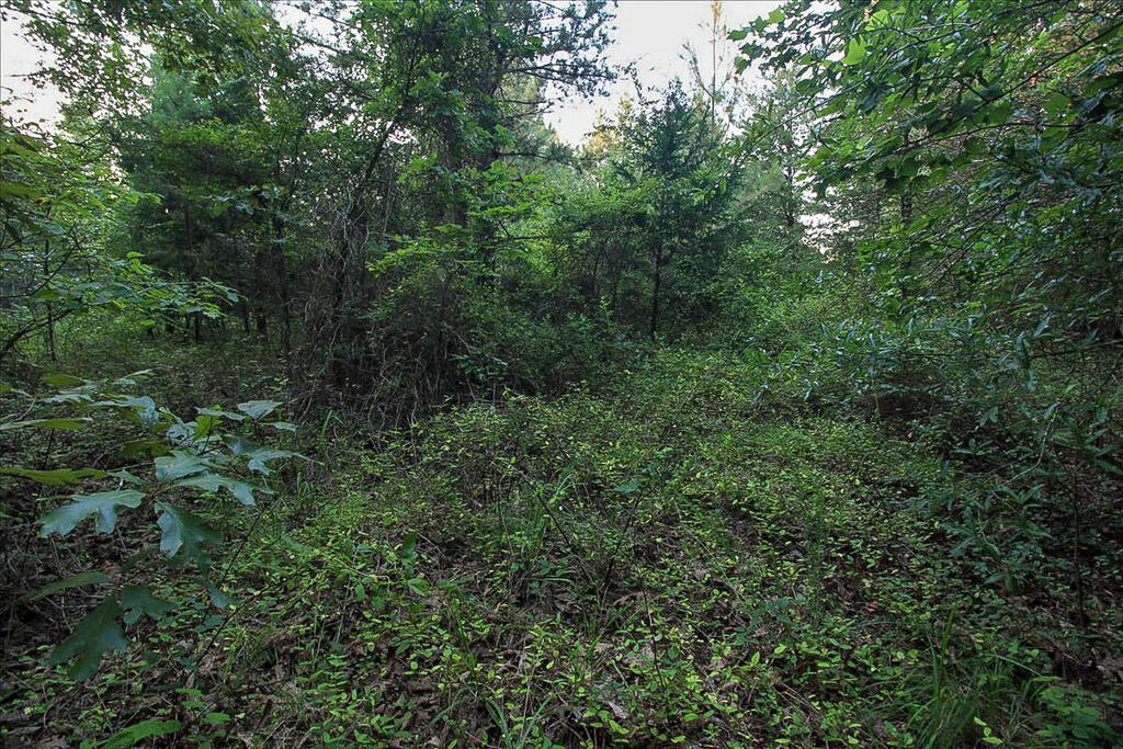 1116 Wheatland Road Property Photo 28