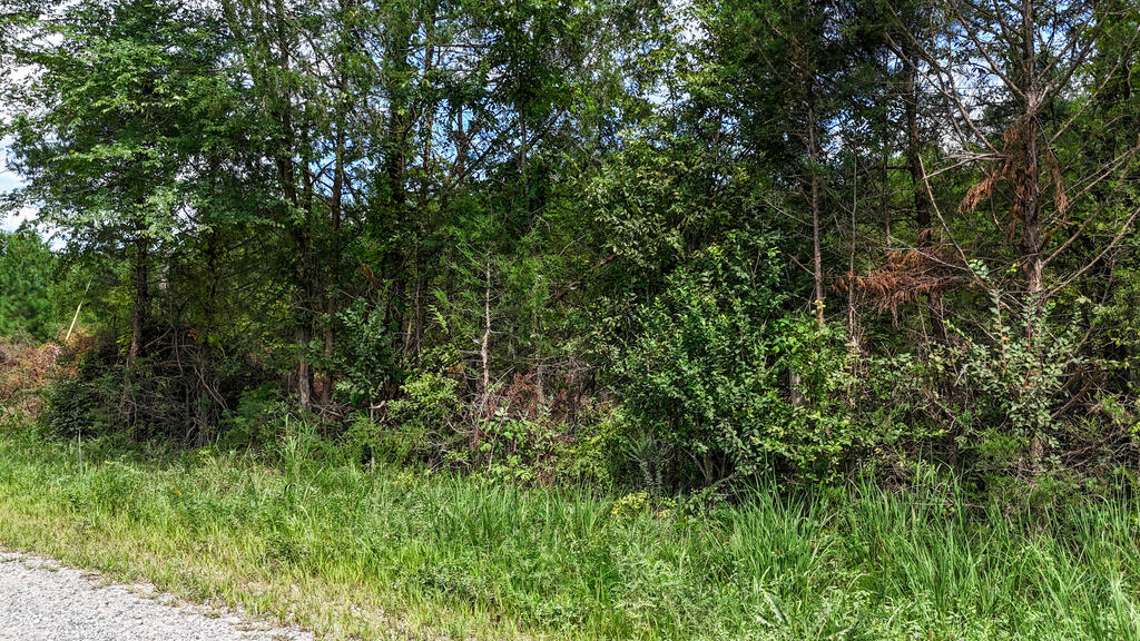 1116 Wheatland Road Property Photo 29