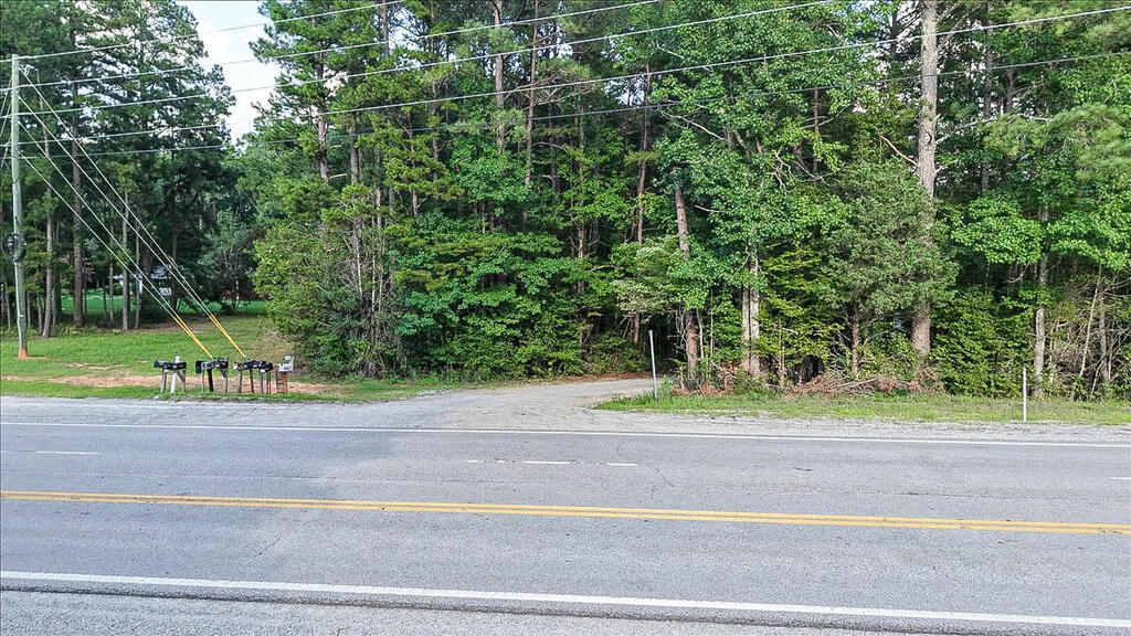 67 Tyson Road Property Photo 12