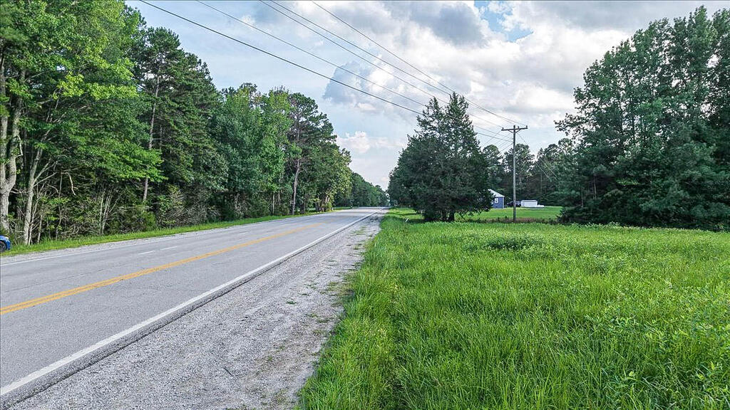 67 Tyson Road Property Photo 15