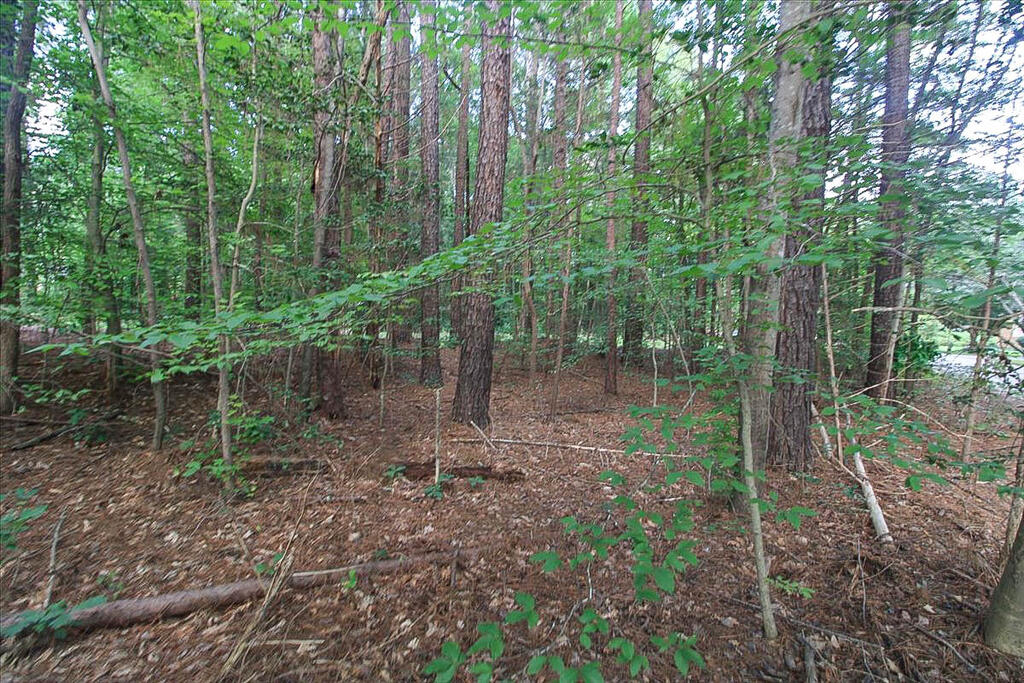 67 Tyson Road Property Photo 19