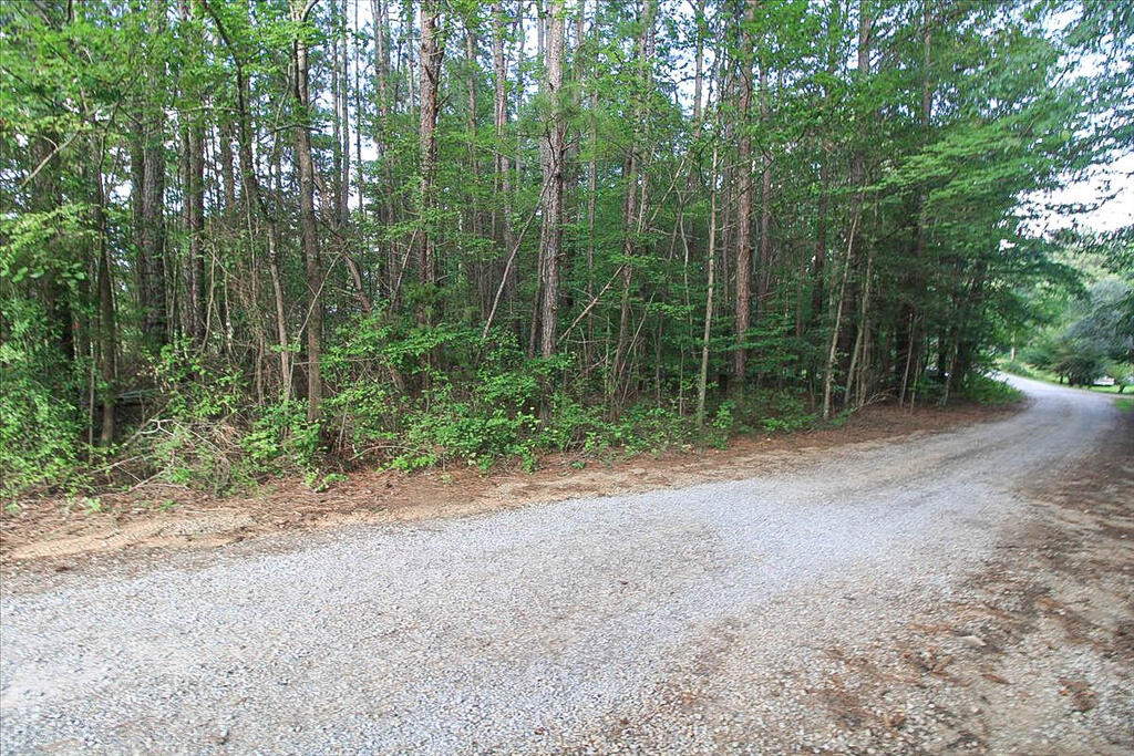 67 Tyson Road Property Photo 24