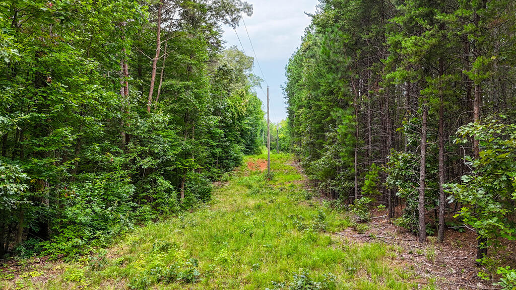 3997 Saxkey Road Property Photo 8