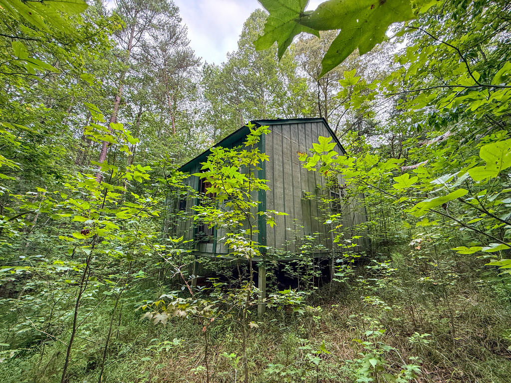 3997 Saxkey Road Property Photo 11