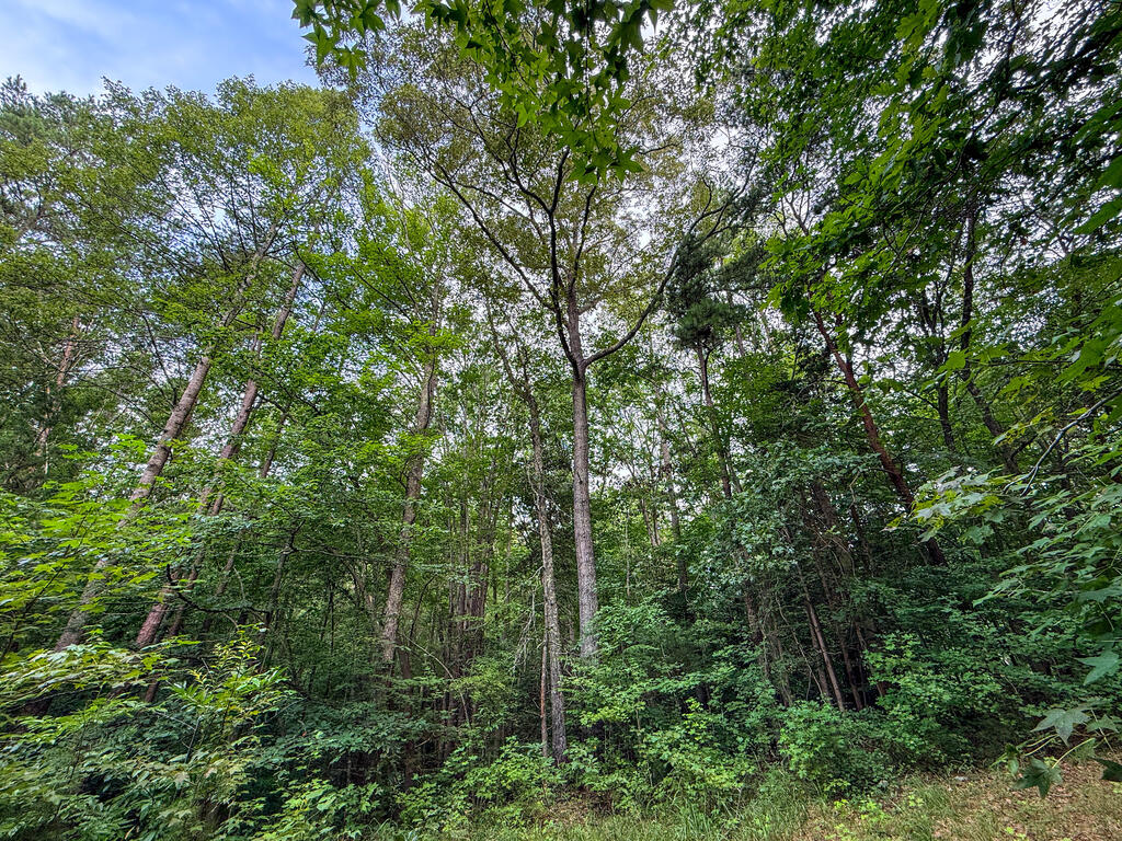 3997 Saxkey Road Property Photo 12