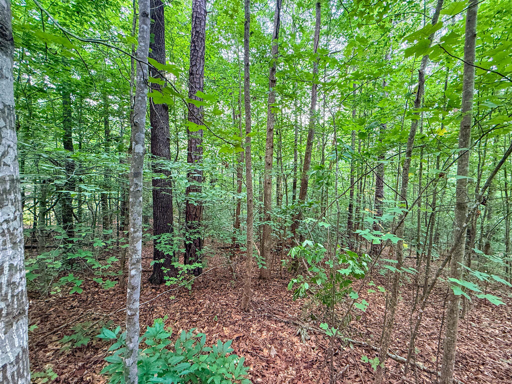 3997 Saxkey Road Property Photo 13