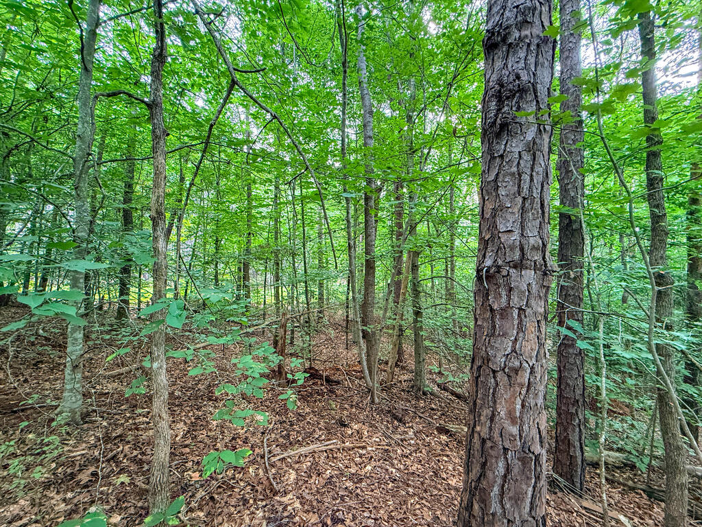 3997 Saxkey Road Property Photo 14