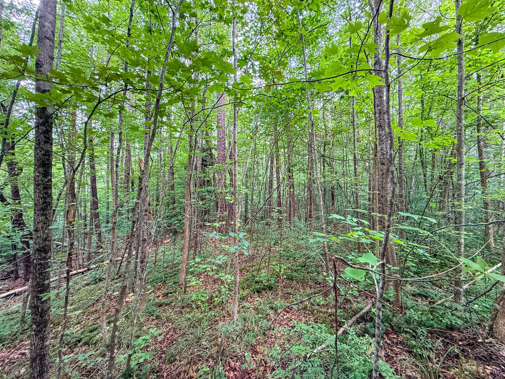 3997 Saxkey Road Property Photo 15