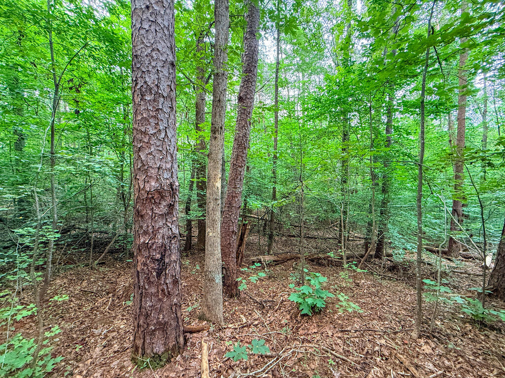 3997 Saxkey Road Property Photo 16