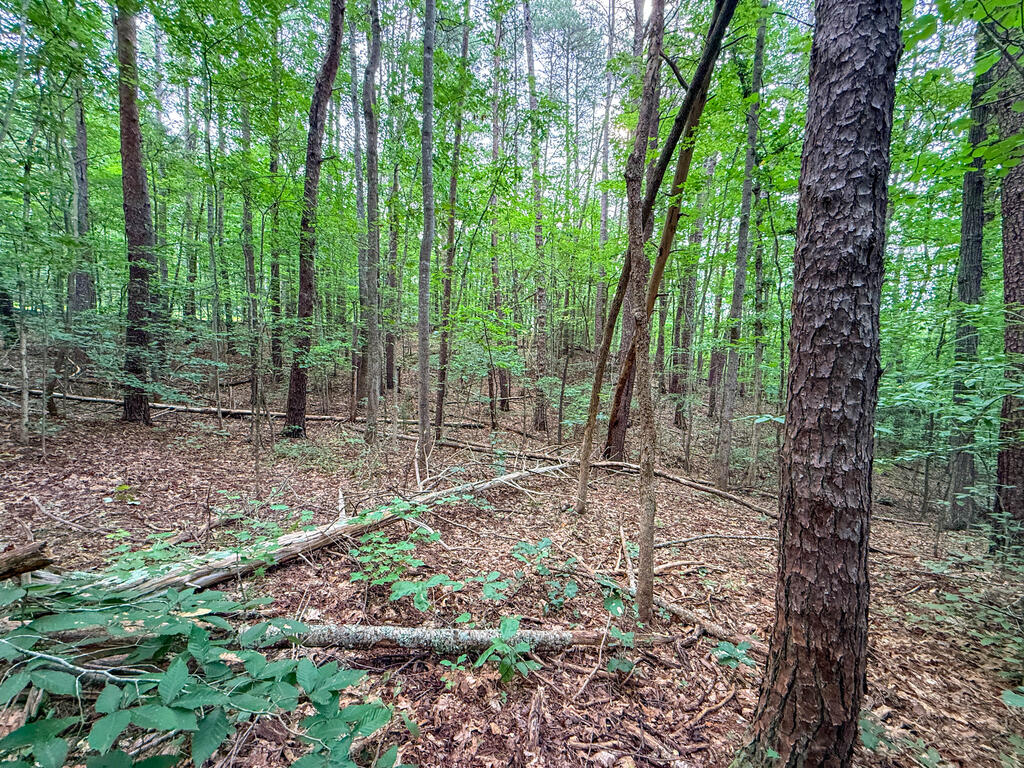 3997 Saxkey Road Property Photo 17