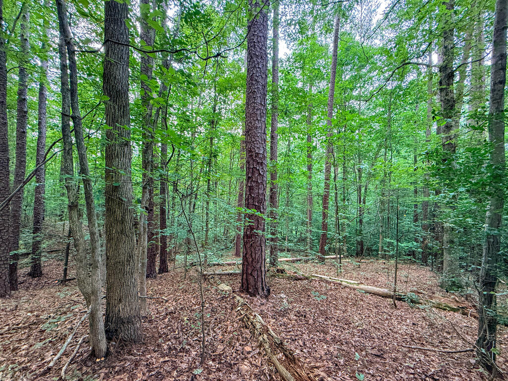 3997 Saxkey Road Property Photo 19