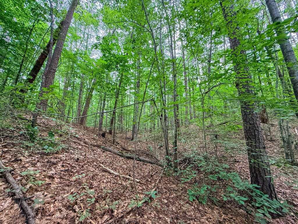 3997 Saxkey Road Property Photo 20