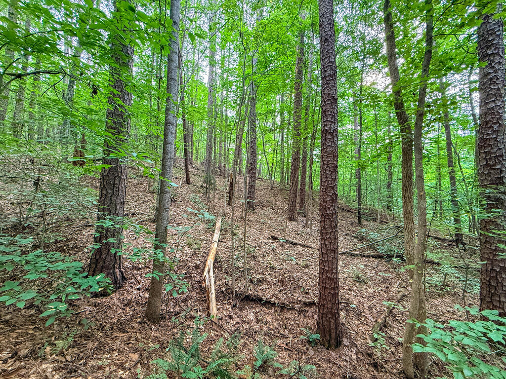 3997 Saxkey Road Property Photo 21