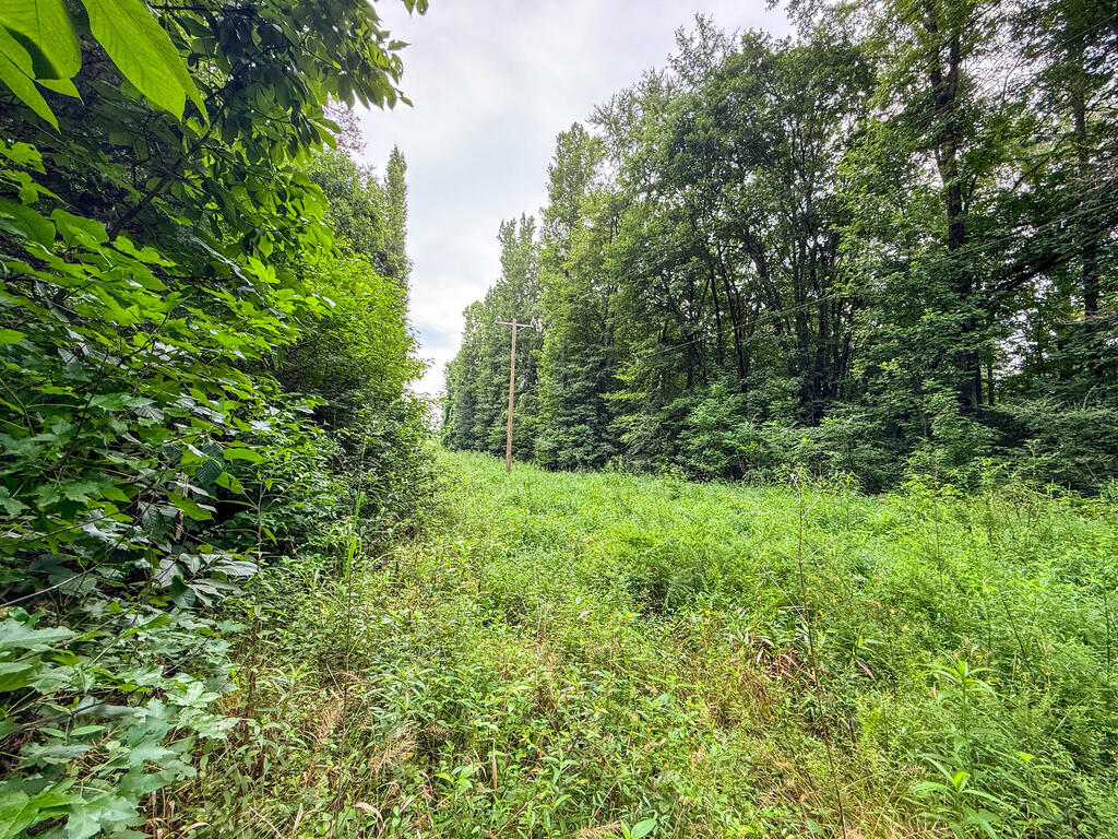 3997 Saxkey Road Property Photo 22