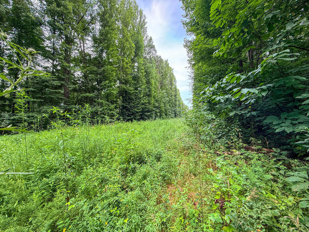 3997 Saxkey Road Property Photo 23