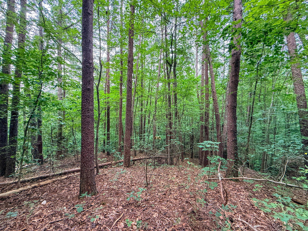 3997 Saxkey Road Property Photo 24