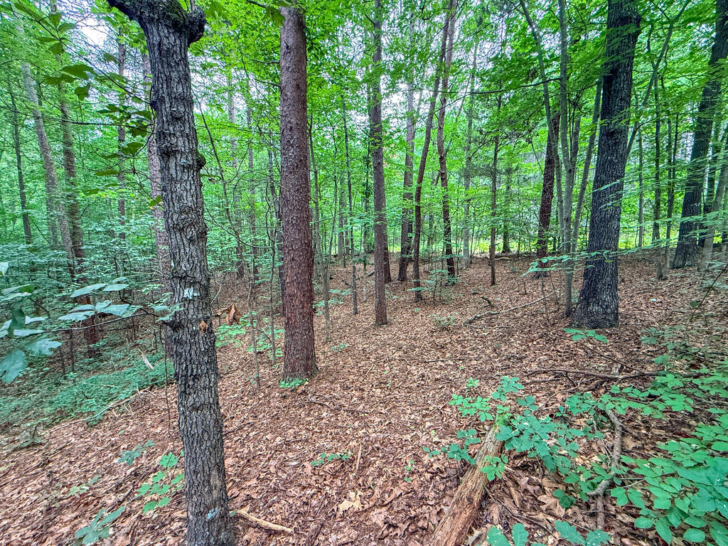 3997 Saxkey Road Property Photo 25