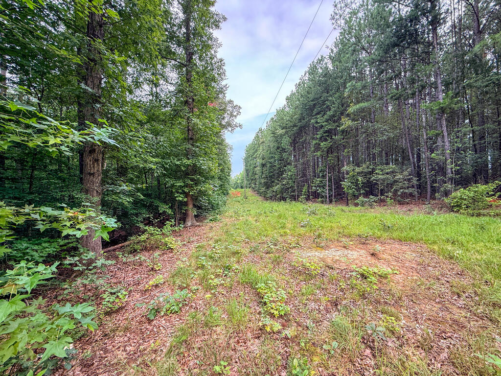 3997 Saxkey Road Property Photo 26