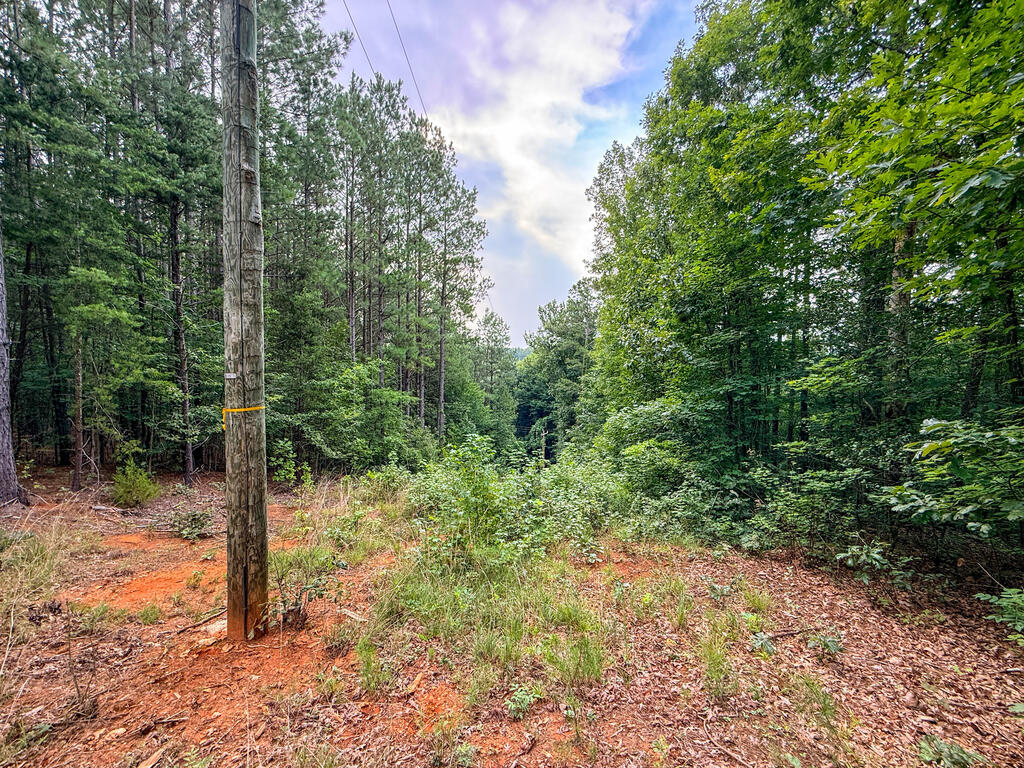 3997 Saxkey Road Property Photo 27