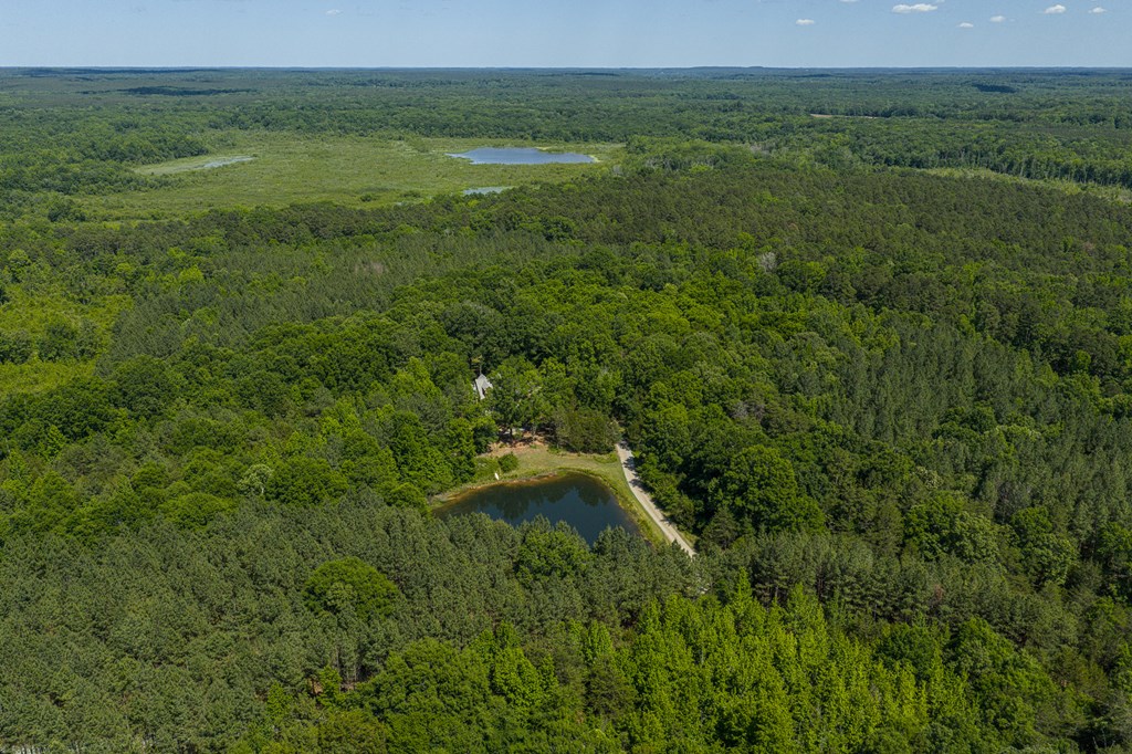 1230 Daniels Trail Property Photo 59