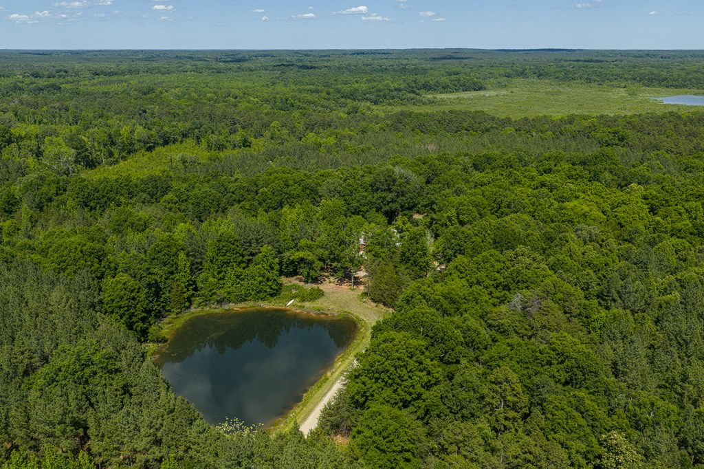 1230 Daniels Trail Property Photo 60