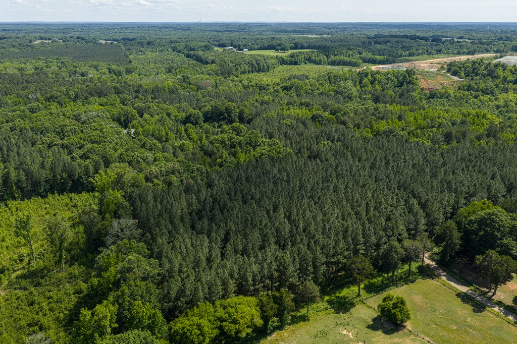 1230 Daniels Trail Property Photo 63