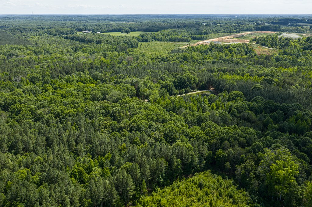 1230 Daniels Trail Property Photo 64