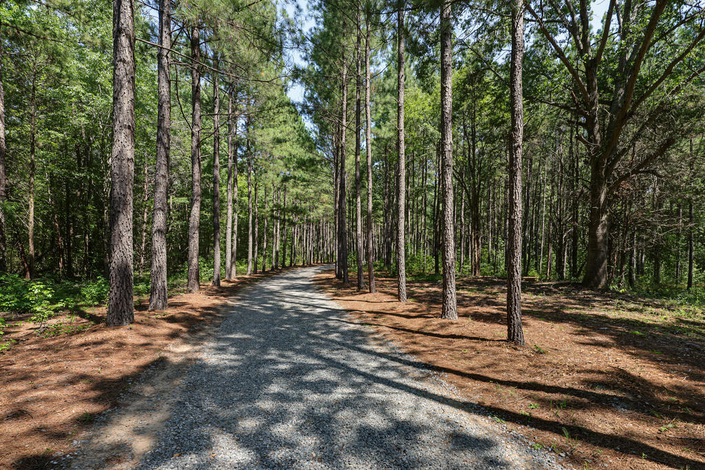 1230 Daniels Trail Property Photo 66