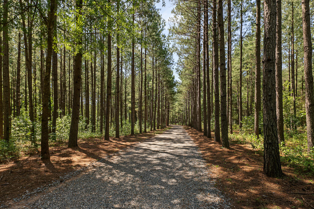 1230 Daniels Trail Property Photo 67