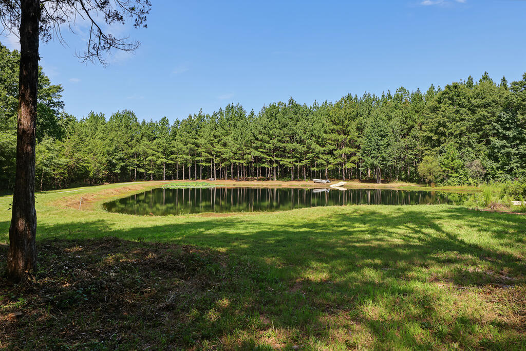 1230 Daniels Trail Property Photo 82
