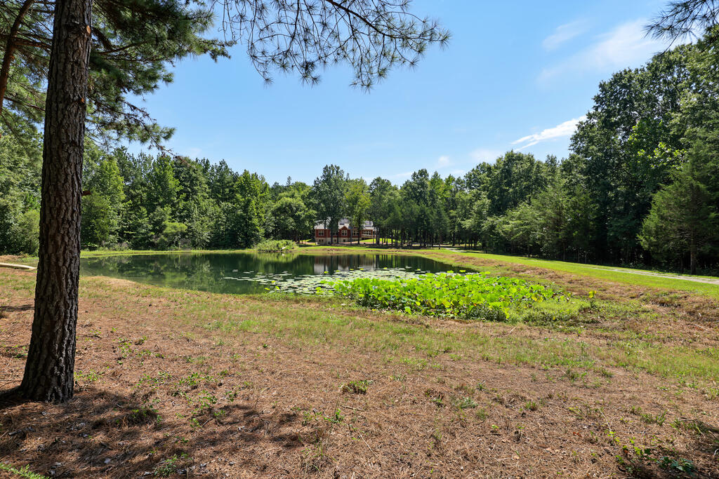 1230 Daniels Trail Property Photo 83