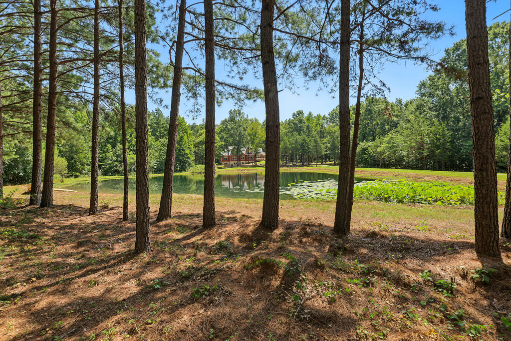 1230 Daniels Trail Property Photo 84