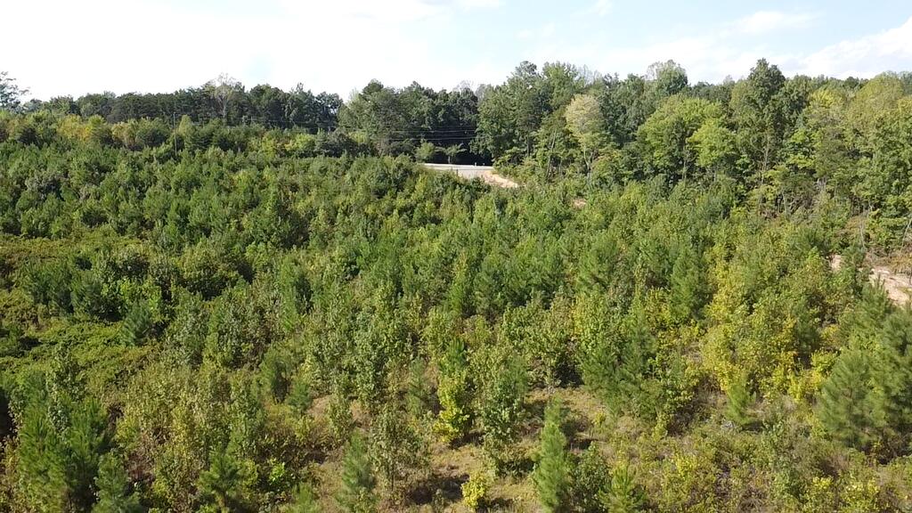 2018 Ashcake Creek Road Property Photo 1