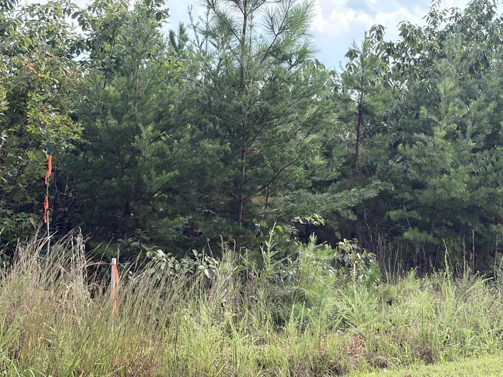 2020 Ashcake Creek Road Property Photo 1