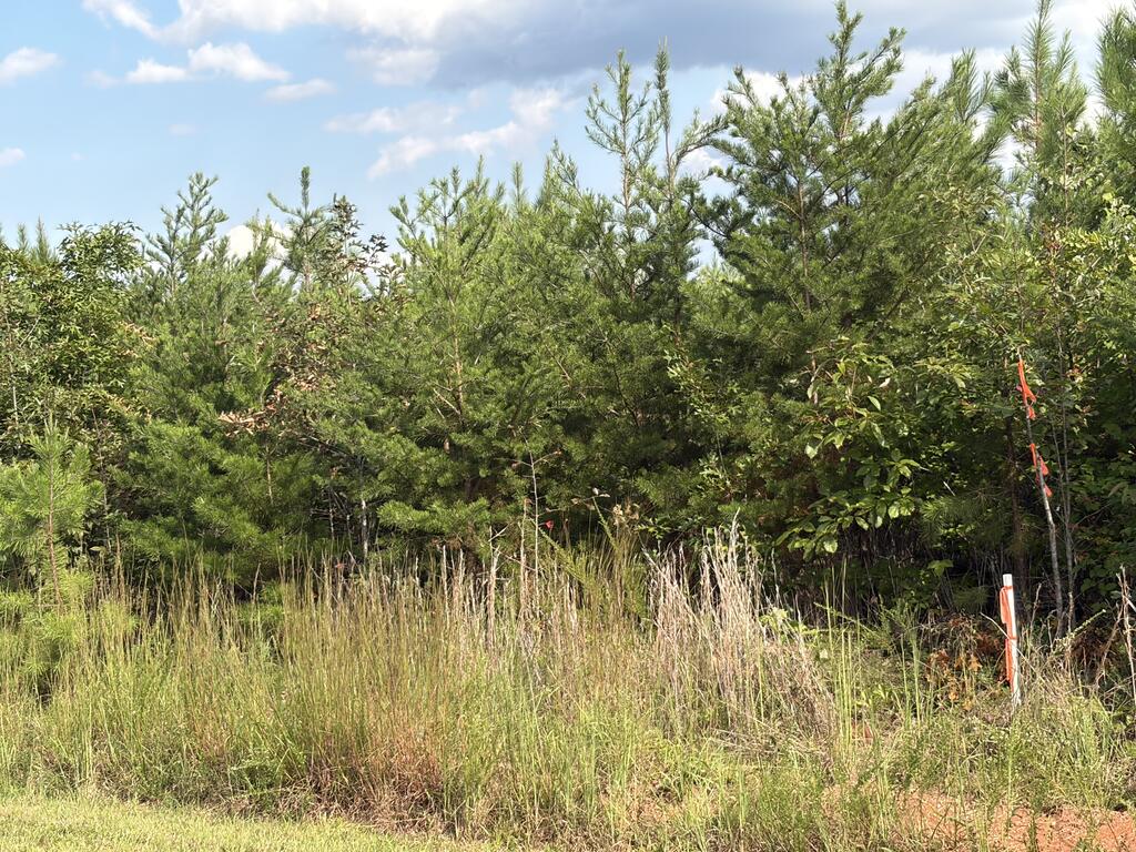 2022 Ashcake Creek Road Property Photo 1