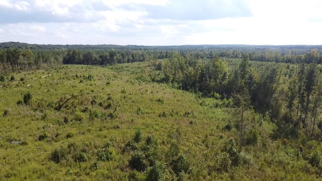 2024 Ashcake Creek Road Property Photo 1