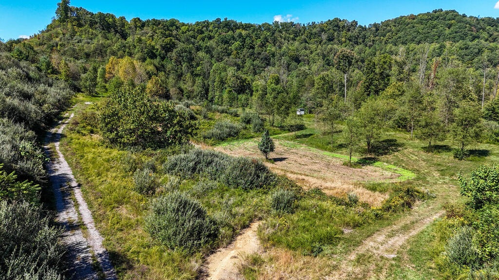 0 Us-460/coalfields Expressway Property Photo 10